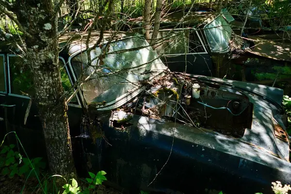 Norveç sınırındaki basbas fanous araba mezarlığı