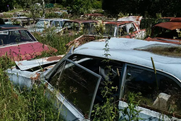 Norveç sınırındaki basbas fanous araba mezarlığı