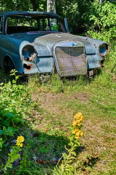 Norveç sınırındaki basbas fanous araba mezarlığı