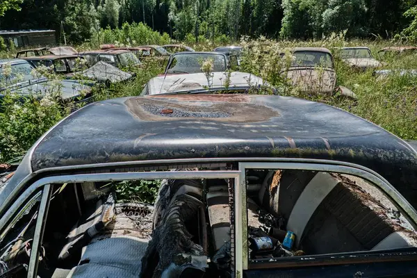 Norveç sınırındaki basbas fanous araba mezarlığı