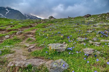 Yazın Georgia 'da Kazbeg Dağı' na tırmanmak inanılmaz bir doğa.