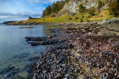 İnanılmaz güzel, doğal kuzey kıyıları.