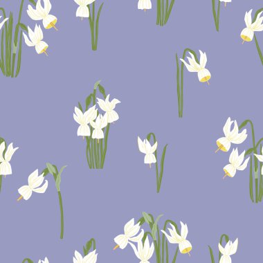 Narcissus Triandrus kusursuz desen. Yıkanmış mavi arka plana beyaz nergis çizilmiş. Bahar çiçekleri