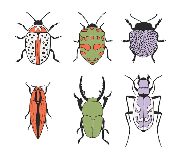 Stock vector Colorful bug set. Collection of hand drawn insects