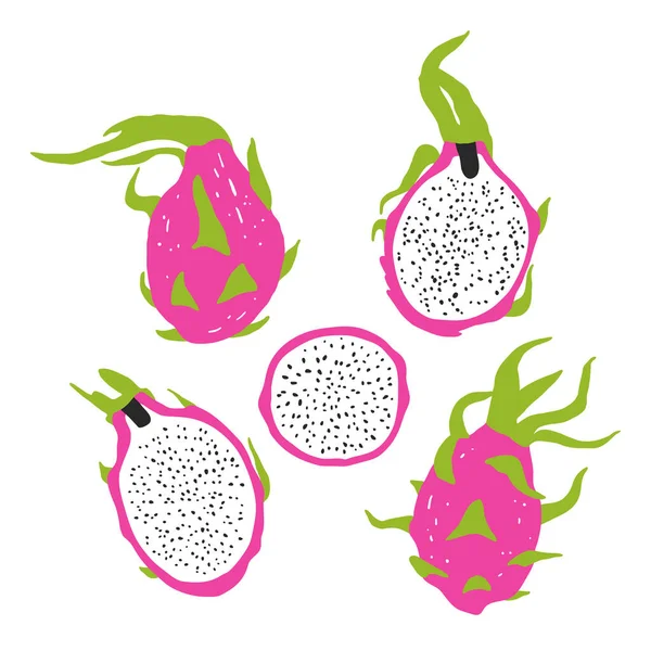Set Metà Frutti Drago Interi Illustrazione Frutta Tropicale Estiva Disegnata — Vettoriale Stock