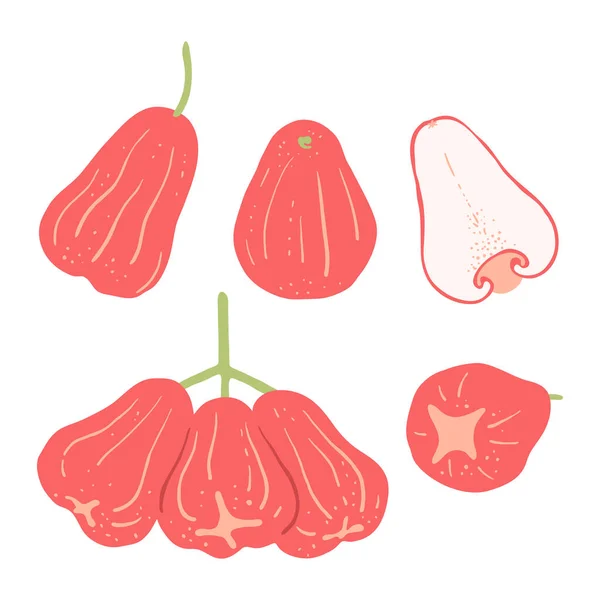 Frutto Mela Rosa Set Intero Mezzo Oggetto Illustrazione Frutta Esotica — Vettoriale Stock