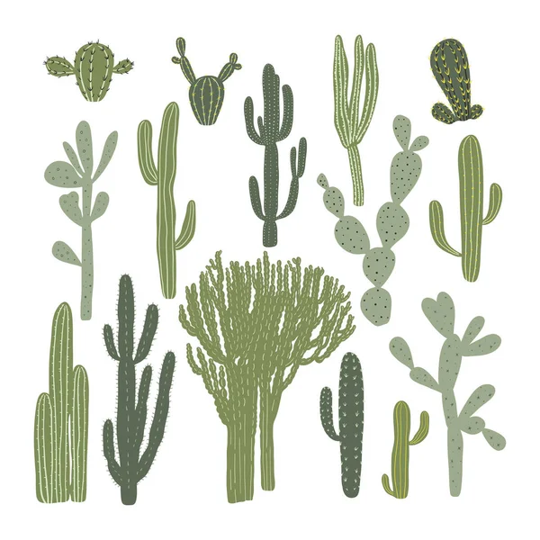 Kaktus Soczysta Kolekcja Ręcznie Rysowane Proste Ilustracje — Wektor stockowy