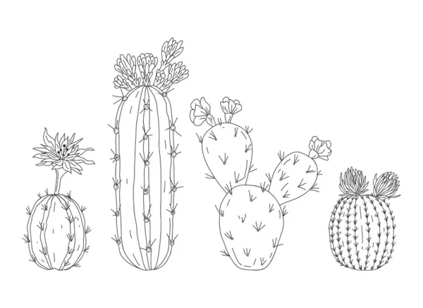 Ręcznie Rysowany Zestaw Kaktusów Stylu Szkicowym Prosty Czarny Biały Roślina — Wektor stockowy