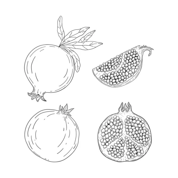 Set Melograni Disegnati Mano Frutti Interi Tritati Illustrazione Vintage Isolato — Vettoriale Stock