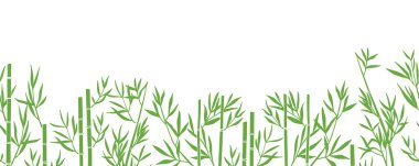 Vektör bambu silueti, kusursuz sınır. Yeşil bambu kökleri beyaz arkaplanda