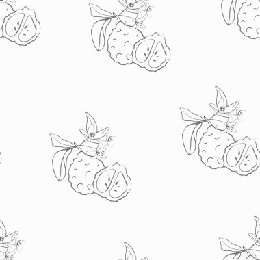 Beyaz arka planda el çizimi bergamot deseni. Tekstil, kumaş, ambalaj kağıdı, hediye kağıdı, kapak için minimalist narenciye tasarımı