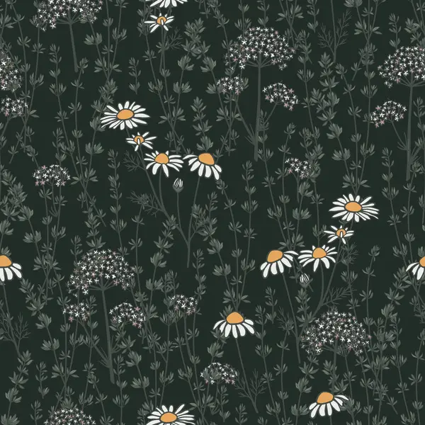 Elle çizilmiş papatya çayı, kediotu ve kekik bitkileriyle kusursuz desen. Kumaş, tekstil, ambalaj kağıdı, hediye kağıdı için vahşi tıbbi bitki tasarımı