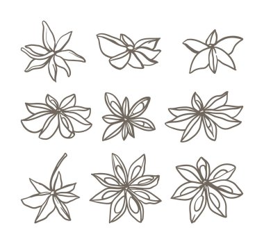 Robot resim tarzında yıldız anason seti. Mutfak, botanik veya tatil tasarımları, baharat, aroma ve doğal güzelliğin vurgulanması, tatlar, pastalar için el yapımı baharatlar.