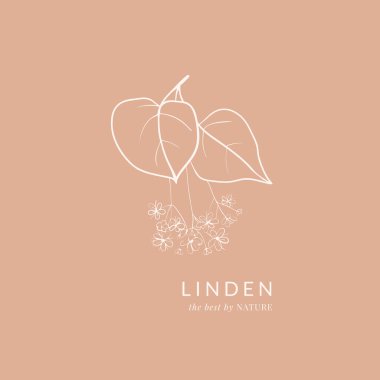 El yapımı ıhlamur çiçekleri kompozisyonu. Pembe arka planda basit bir çiçek tasarımı