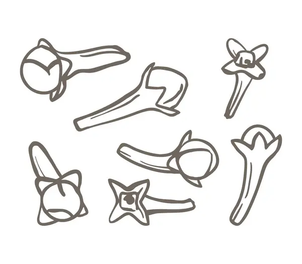 El yapımı karanfil baharat seti. Basit monokrom baharat koleksiyonu