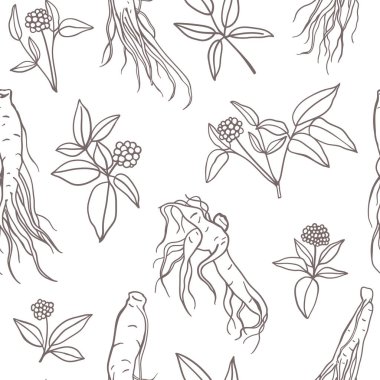 Ginseng kök eli pürüzsüz desen çizmiş. Tekstil, kumaş, ambalaj kağıdı için tıbbi bitki tasarımı