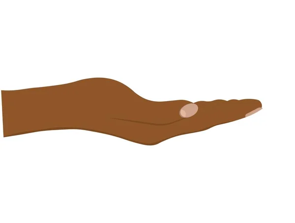 Face Des Femmes Noires Isolées Main Sur Fond Blanc — Image vectorielle