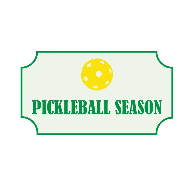 Pickleball ile Padel spor oyunu.