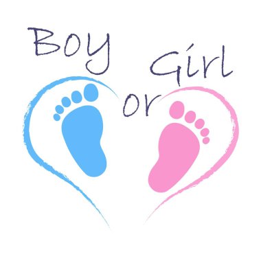 Pink and Blue Gender Reveal Invitation