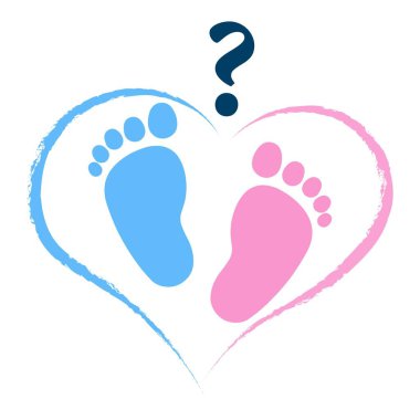 Pink and Blue Gender Reveal Invitation