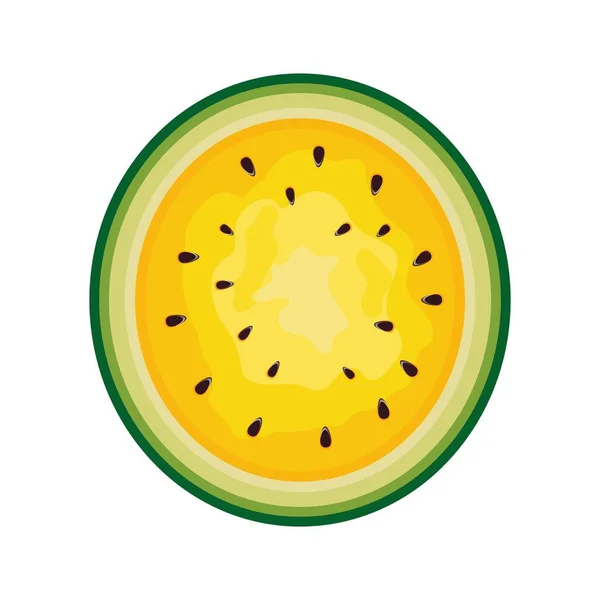 Sárgadinnye Szelet Gyümölcs Illusztráció Mezőgazdasági Piac Menüjéhez Egészséges Élelmiszer Tervezés — Stock Vector