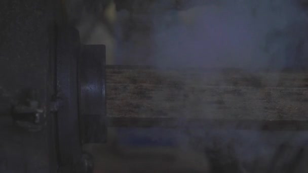Briquette Üretim Tesisi Sıkıştırılmış Talaştan Yakıt Üretimi Yakıt Birikintileri Oluşturma — Stok video