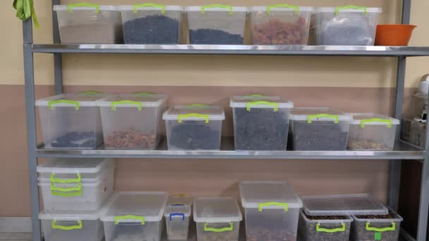 Cereales Frutos Secos Semillas Recipientes Plástico Los Estantes — Vídeo de stock