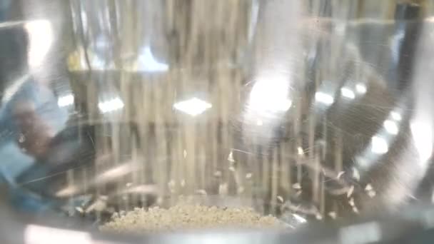 Mężczyzna Wlewa Nasiona Sezamu Metalowej Miski Zbliżenie — Wideo stockowe