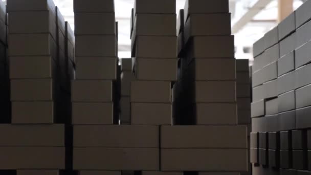 Línea Producción Ladrillo Fábrica Los Ladrillos Apilan Paletas — Vídeos de Stock