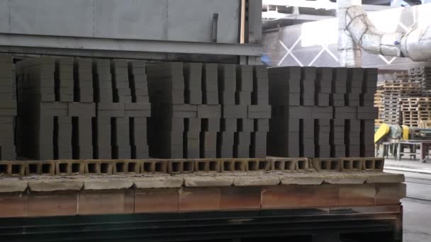 Línea Producción Ladrillo Fábrica Los Ladrillos Apilan Paletas — Vídeo de stock