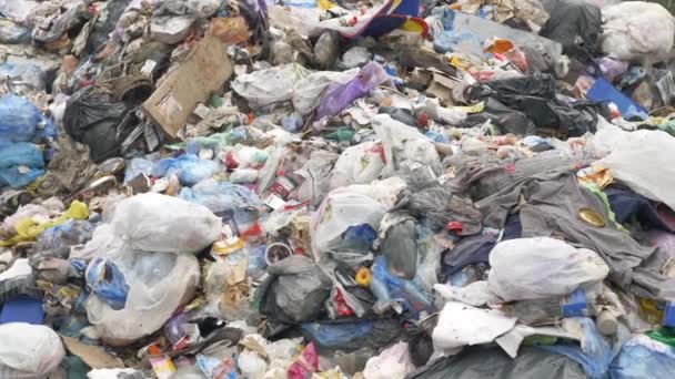 Polígono Depósito Lixo Uma Catástrofe Ecológica Poluição Terrestre — Vídeo de Stock