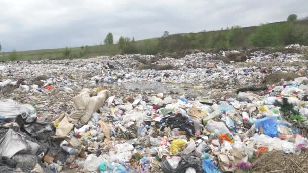 Polygon Garbage Dump Ecological Catastrophy Land Pollution — Stock Video