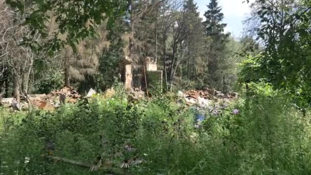 Konsekwencje Pożaru Zniszczonego Domu Lesie — Wideo stockowe