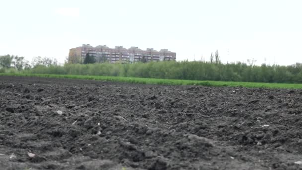 耕された畑の土壌は 地球の地形を示しています 農業コンセプト — ストック動画