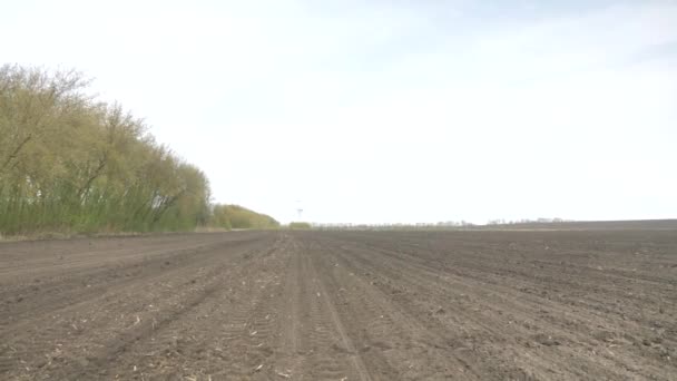 耕地の土壌 農業コンセプト — ストック動画
