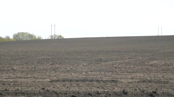 耕された畑の土壌は 地球の地形を示しています 農業コンセプト — ストック動画