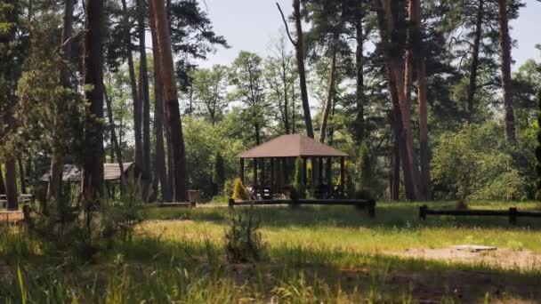 在阳光明媚的日子里 公园里的高大的树木间 有如画的开放的木屋 有一个有休闲屋顶的露台的露台 庆祝和烧烤 森林里的露营 — 图库视频影像