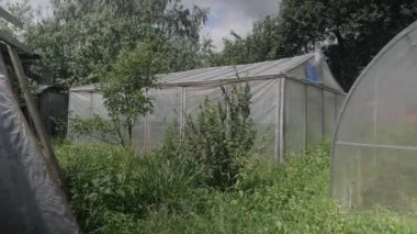 Bahçedeki sera, serası olan kır evi..