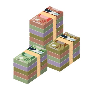 Kanada Doları Vektör İllüstrasyonu. Kanada parası demet banknotlar hazırladı. Kağıt para 10, 20, 50, 100 CAD. Düz stil. Beyaz arka planda izole edilmiş. Basit minimal tasarım.