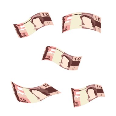 Brezilyalı Gerçek Vektör İllüstrasyonu. Brezilya parası demet banknotlar hazırladı. Düşen, uçan para 10 BRL. Düz stil. Beyaz arka planda izole edilmiş. Basit minimal tasarım.