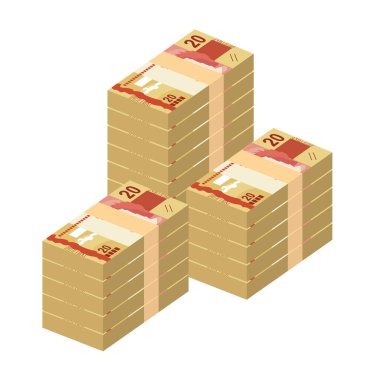 Brezilyalı Gerçek Vektör İllüstrasyonu. Brezilya parası demet banknotlar hazırladı. Kağıt para 20 BRL. Düz stil. Beyaz arka planda izole edilmiş. Basit minimal tasarım.