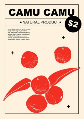 Camu camu. Set of posters of fruits and citrus in a abstract draw design. Label or poster, price tag. Simple, flat design. Patterns and backgrounds. Perfect for poster, cover, banner. clipart