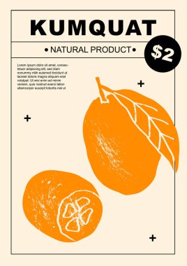 Kumkuat. Soyut çizim tasarımında meyve ve narenciye posterleri. Etiket ya da poster, fiyat etiketi. Basit, düz tasarım. Örnekler ve arka planlar. Poster, kapak, afiş için mükemmel.