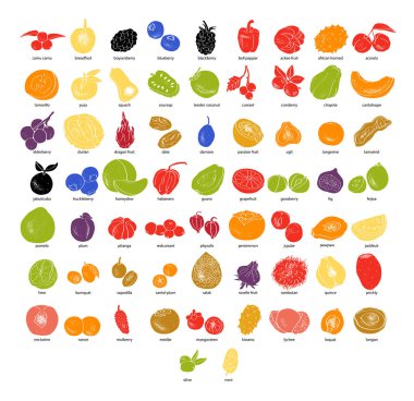 Soyut çizim dizaynında meyveler. Etiket ya da poster, fiyat etiketi. Çizim vektörü