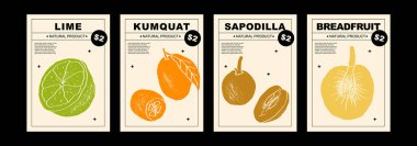 Limon, kumkat, sapodilla, ekmek meyvesi. Soyut çizim tasarımında meyve ve narenciye posterleri. Basit, düz tasarım. Örnekler ve arka planlar. Poster, kapak, afiş için mükemmel.