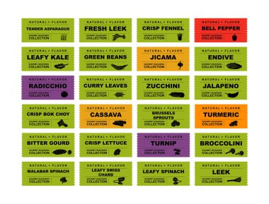 Sebzeler, yeşillik ve baklagiller soyut çıkartmalar ve etiketler. Yemek hazırlama ve aşçılık için farklı renk paketleri. Meyveli hindiba, jicama, pırasa, rezene