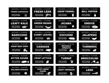 Sebzeler, yeşillik ve baklagiller soyut çıkartmalar ve etiketler. Yemek hazırlama ve aşçılık için siyah beyaz ambalaj. Meyveli hindiba, jicama, pırasa, rezene