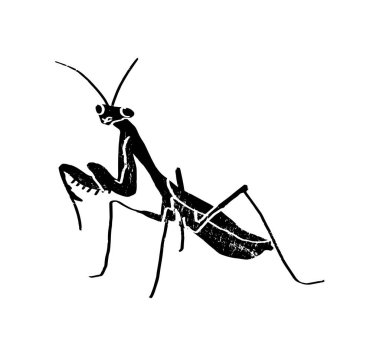 Peygamber devesi. El çizimi vektör çizimi desenli