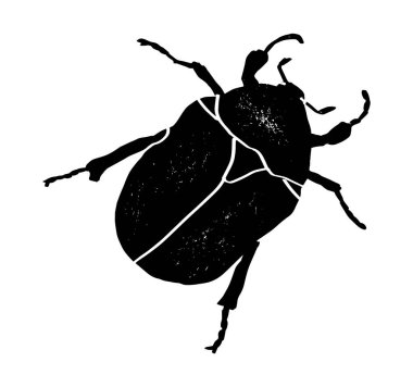 Maybug, chafer, cockchafer. Hand drawn monochrome vector illustration of Maybug textured clipart