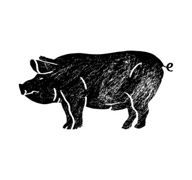 Grafik domuzu. Elle çizilmiş vektör illüstrasyonu